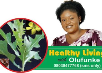 Foods, herbs to manage erectile dysfunction