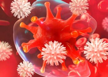 Best Immune Booster: Most Effective Immunity Support Products