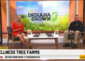 Indiana Grown: Wellness Tree Farms – WISH-TV | Indianapolis News | Indiana Weather