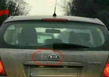 10 Unusual Uses of Slavonia’s Favourite Friend