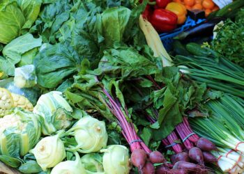 Talking fibre and no, not the fibre-optic type – South Coast Herald