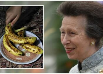 Princess Anne weight loss: Royal’s unusual breakfast is an ‘antioxidant powerhouse’
