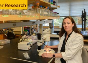 Investigating gut microbes in honey bees | Rowan Today