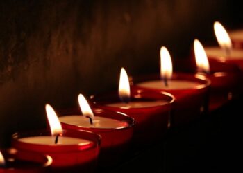 Multiple paths to Wellness: Local company embraces multidimensional well-being