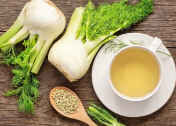 How to Make Antioxidant-Rich Fennel Tea (and 5 Reasons to Try It)