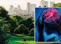 Stroke: Having green area ‘less than 300 meters’ from your home can cut risk by 16%
