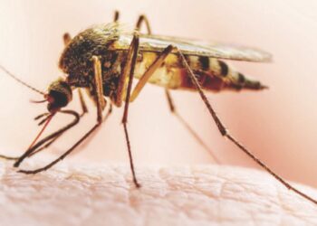 PiggyVest partners WellaHe to provide cover – The Sun Nigeria