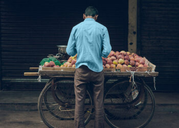 Do humans possess ‘nutritional wisdom’?