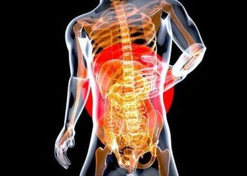 Long-lasting inflammation in digestive tracts can lead to Inflammatory Bowel Disease, but causes of IBS still unknown
