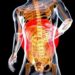 Long-lasting inflammation in digestive tracts can lead to Inflammatory Bowel Disease, but causes of IBS still unknown