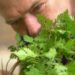 The best vegetable restaurant in the world | Euromaxx – Lifestyle in Europe | DW