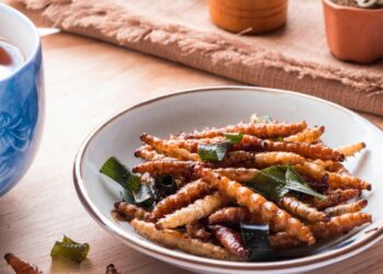 Your Guide To Some Of The World’s Most Unusual Food