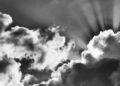 The importance of being COVID ‘positive’