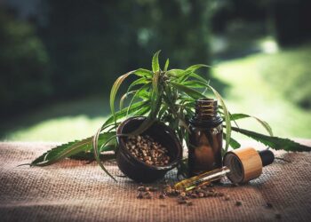 CBD against insomnia and anxiety: a natural remedy for a better sleep