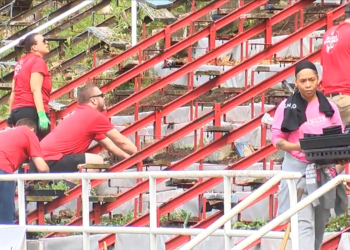 GIANT announces partnership with The Bridge for bleacher garden – WHP Harrisburg