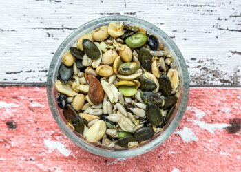 What can you eat on a vegan keto diet?