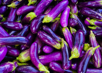 3 Aubergine-Based Recipes Every Eco-Conscious Vegan Will Love