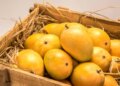 Is It Safe For People With Diabetes to Eat Mangoes?