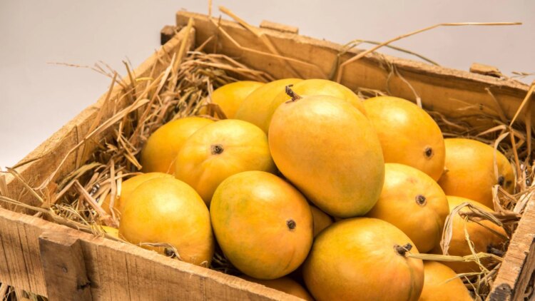 Is It Safe For People With Diabetes to Eat Mangoes?